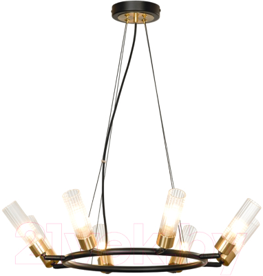 Люстра Lussole Lyon LSP-8906 - фото