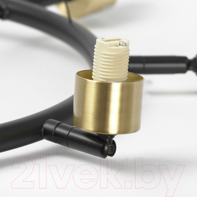 Люстра Lussole Lyon LSP-8906