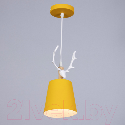 Потолочный светильник BayerLux 5073747