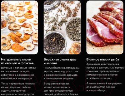 Сушильный шкаф для овощей и фруктов Garlyn D-06