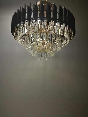 Потолочный светильник Mirastyle CF-9001/500 BK+GD