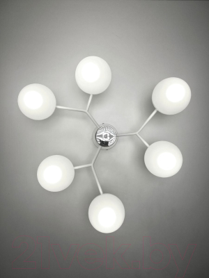 Потолочный светильник Mirastyle MH-10142/6 WH-CR