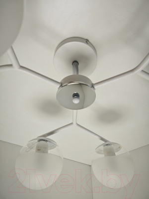 Потолочный светильник Mirastyle MH-10142/6 WH-CR