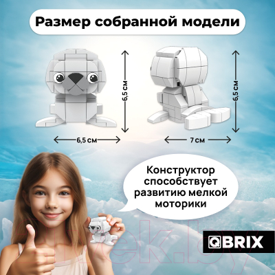 Конструктор QBRIX Kids Зоопарк. Морской котик 30041