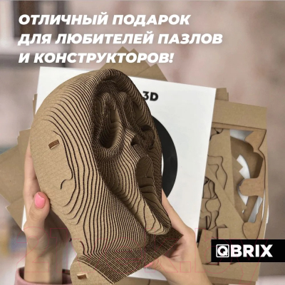 Конструктор QBRIX Крик души 3D 20009