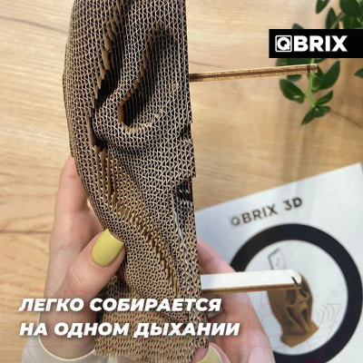 Конструктор QBRIX Крик души 3D 20009