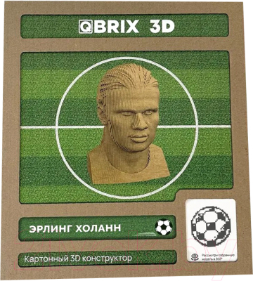 Конструктор QBRIX Эрлинг Холанн 3D 20055 - фото