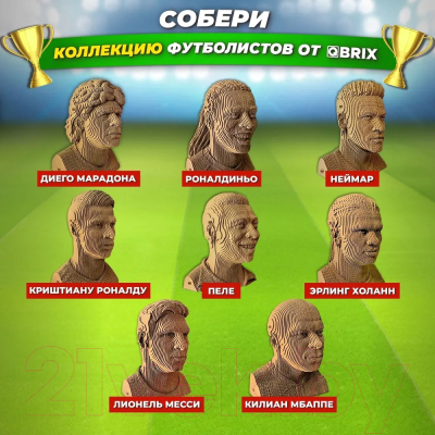 Конструктор QBRIX Эрлинг Холанн 3D 20055