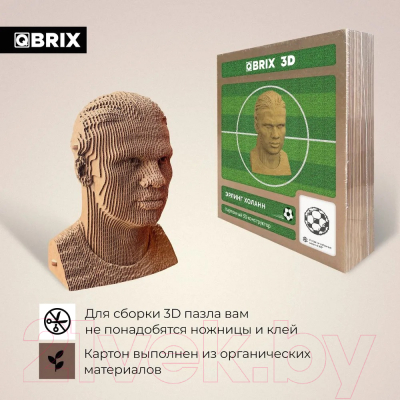 Конструктор QBRIX Эрлинг Холанн 3D 20055