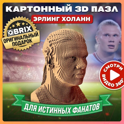 Конструктор QBRIX Эрлинг Холанн 3D 20055