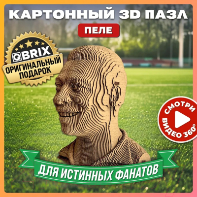 Конструктор QBRIX Пеле 3D 20058