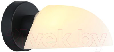 Бра Lussole Carter LSP-8862 - фото