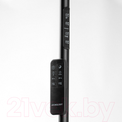 Торшер Lussole Carmel LSP-0901-SE