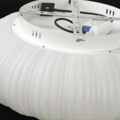 Потолочный светильник Lussole Claudia LSP-0921