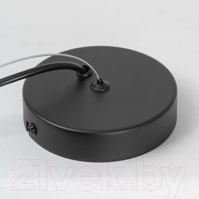 Потолочный светильник Lussole Miller LSP-8924