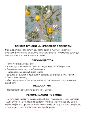 Кресло мягкое Mio Tesoro Одос Принт