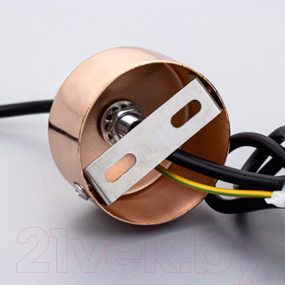 Потолочный светильник BayerLux Астелл / 9802161