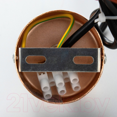 Потолочный светильник BayerLux Астелл / 9802162