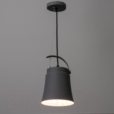 Потолочный светильник BayerLux Ритона / 9717776