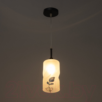 Потолочный светильник BayerLux Тейла / 9920223