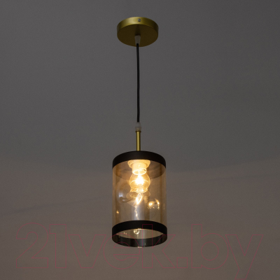 Потолочный светильник BayerLux Эллен / 9920222