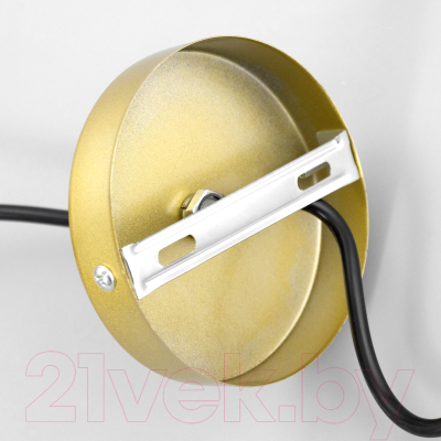 Потолочный светильник BayerLux Эллен / 9920222