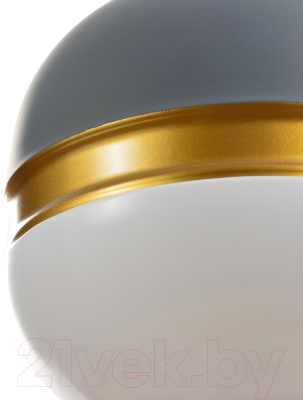 Потолочный светильник BayerLux Алиса / 9717775