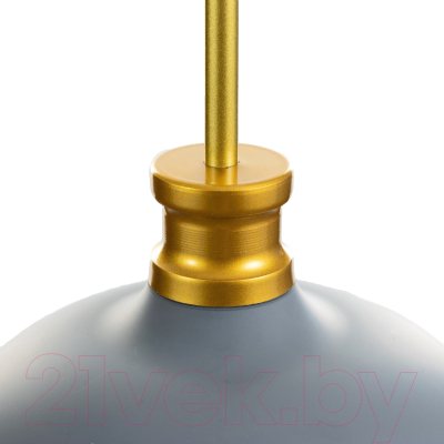 Потолочный светильник BayerLux Алиса / 9717775