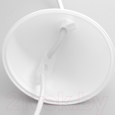 Потолочный светильник BayerLux Десси / 9269446