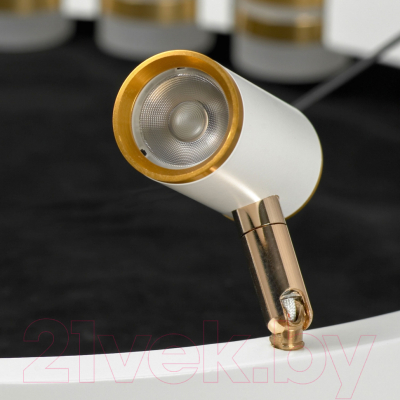 Люстра Lussole Gilbert LSP-7176