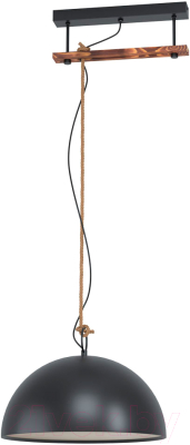 Потолочный светильник Eglo Hodsoll 43396 - фото