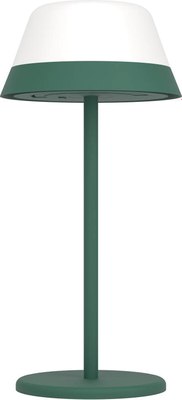 Светильник уличный Eglo Meggiano 900981 - фото