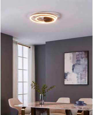 Потолочный светильник Eglo Ruotale 900471