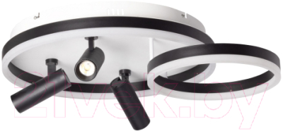 Потолочный светильник De City Драйв 377013405 - фото