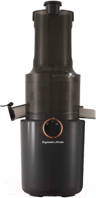 Соковыжималка электрическая Zigmund & Shtain ESJ-771 - фото