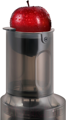 Соковыжималка электрическая Zigmund & Shtain ESJ-771