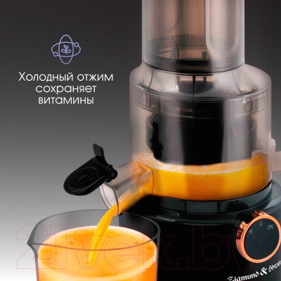 Соковыжималка электрическая Zigmund & Shtain ESJ-771