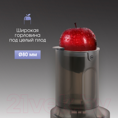 Соковыжималка электрическая Zigmund & Shtain ESJ-771