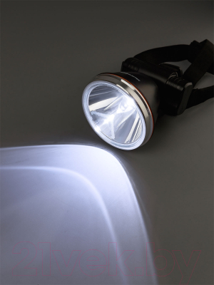 Фонарь TDM SQ0350-0075