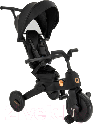 Трехколесный велосипед Pituso Leve Lux / S03-2-BLACK  - фото