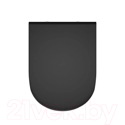 Сиденье для унитаза Teymi S40201MB