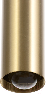 Потолочный светильник BayerLux Леонтия / 9717773