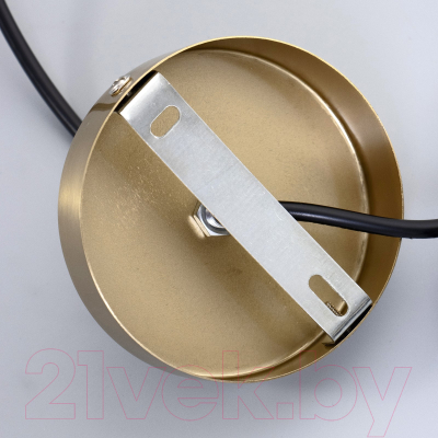 Потолочный светильник BayerLux Леонтия / 9717773