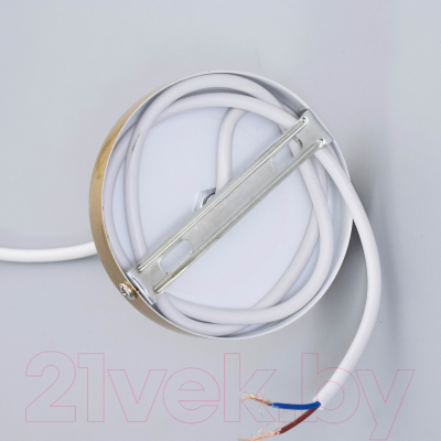 Потолочный светильник BayerLux Санса / 9717779