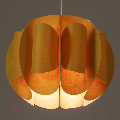 Потолочный светильник BayerLux Сарри / 9269443