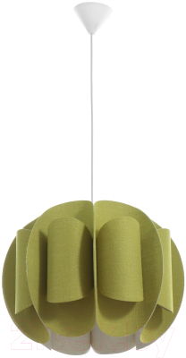 Потолочный светильник BayerLux Сарри / 9269444 - фото