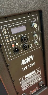 Сценический монитор Acury DS12W