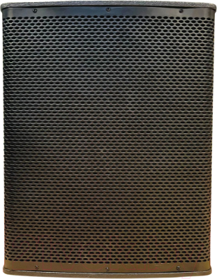 Сценический монитор Acury DS18SUB - фото