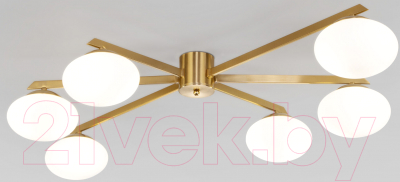 Люстра Евросвет 70220/6 - фото