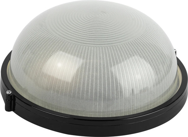 Светильник для подсобных помещений ЭРА Акватермо НБП 03-100-001 / Б0063908 - фото